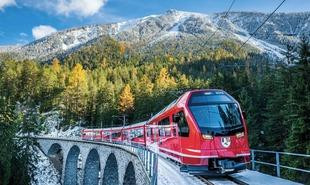 stadler top alternativ 310