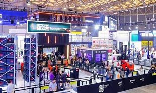 cemat shanghai Kion3 310